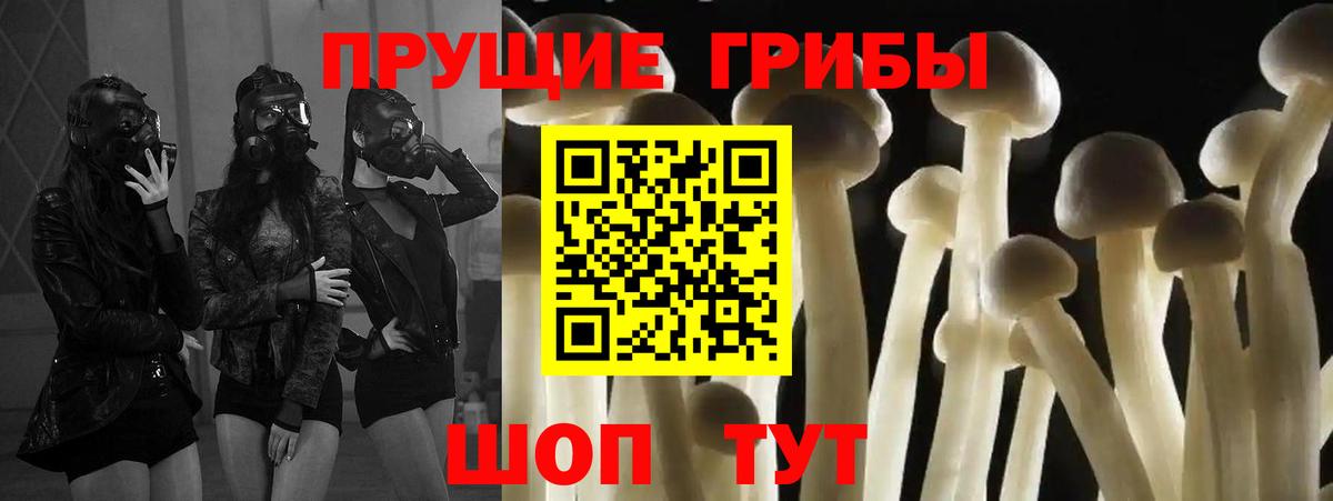 где найти наркотики  Псилоцибиновые грибы ЛСД  Вход с VPN  Павлово 