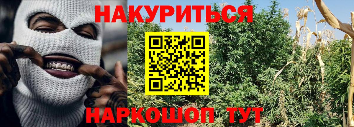 Бошки Шишки Bruce Banner  Бошки марихуана Amnesia  Вход с VPN  Конопля ГИДРОПОН  Павлово 
